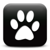 Captcha image 3242